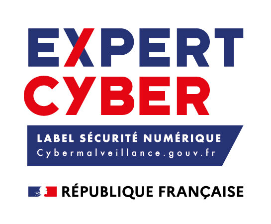 logo cyber expert